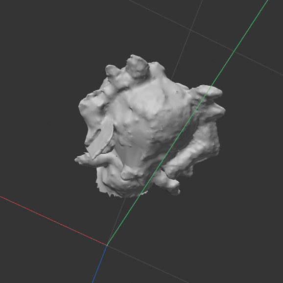 I've noticed that the general shape of the model when scanned and imported into 3D stay the same mostly. It's only when someone imports the model is when they become distorted or rough around the edges in a Literal sense